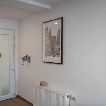 Le Roble - 5 Min Du Centre De Апартаменты Страсбург