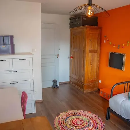 Le Roble - 5 Min Du Centre De Страсбург